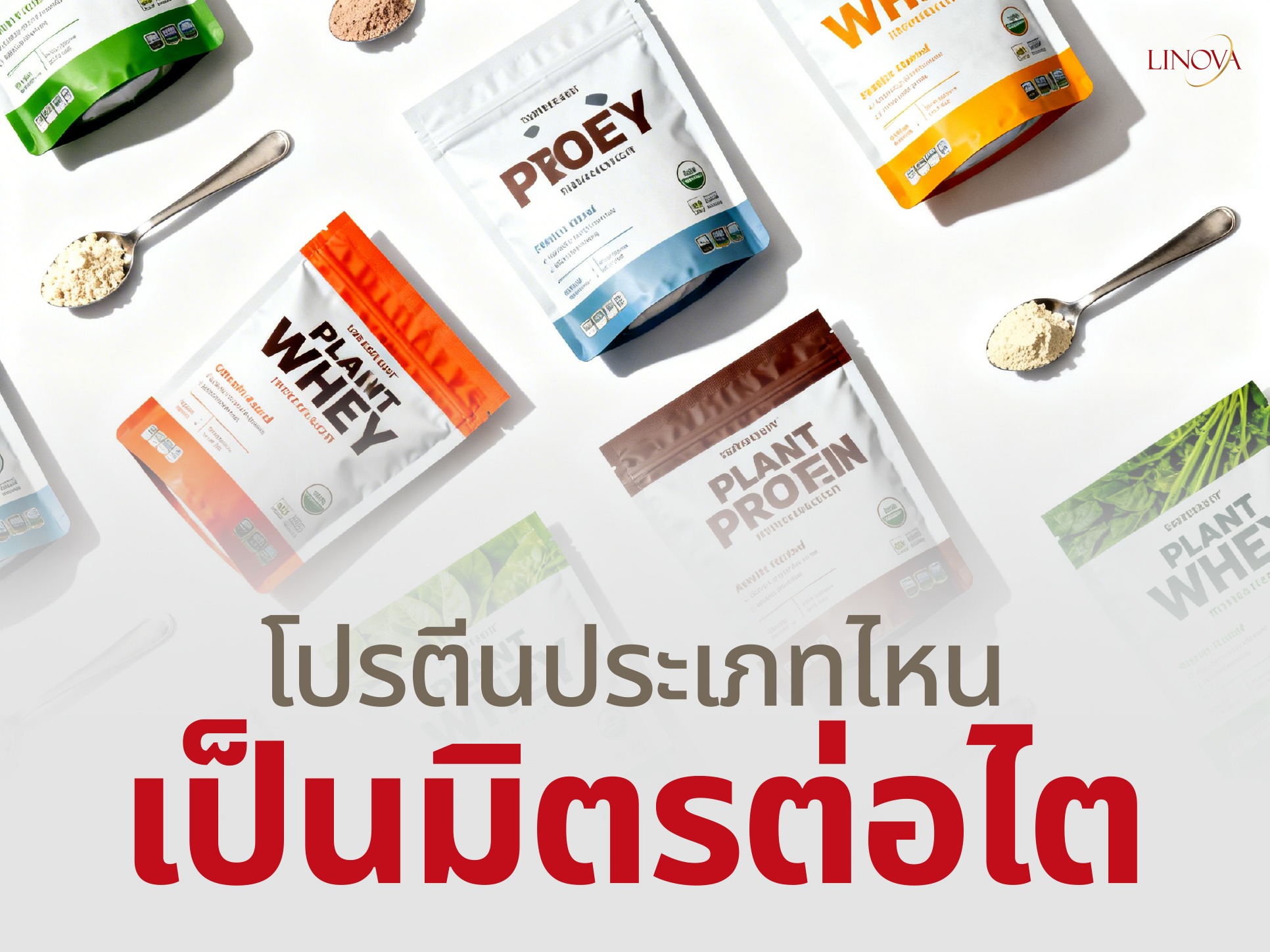 โปรตีนประเภทไหนเป็นมิตรต่อไต