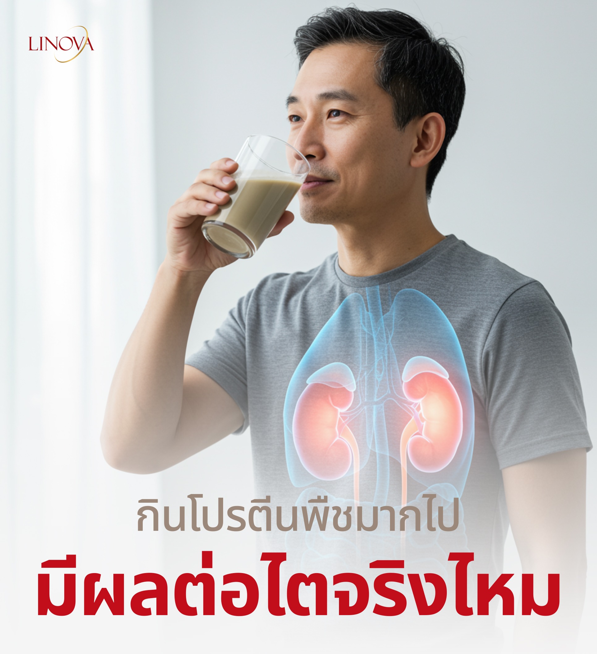 กินโปรตีนพืชมากมีผลต่อไตจริงไม