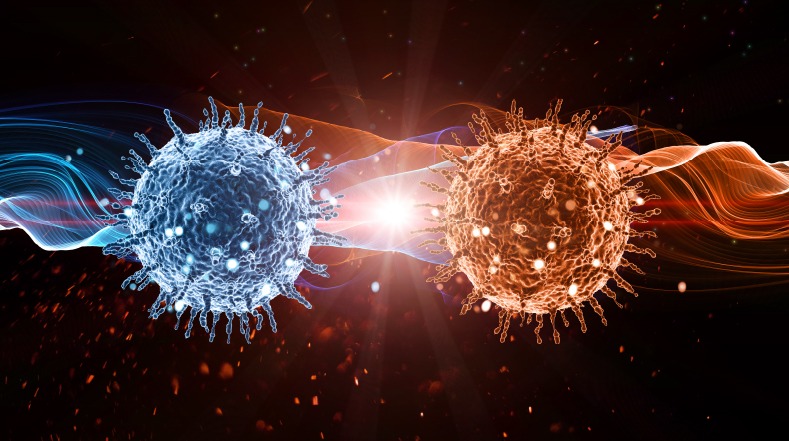Autophagy กลไก “ล้างเซลล์เสีย” ที่ช่วยยืดอายุ