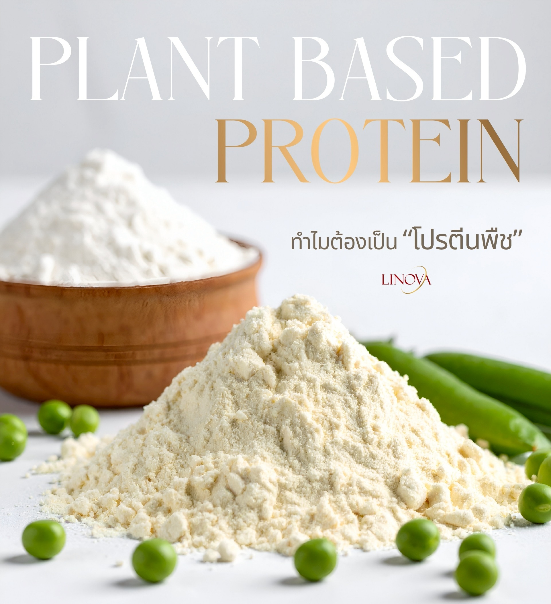 ทำไมต้องโปรตีนพืช