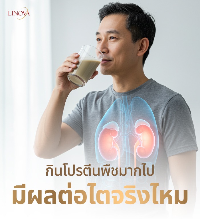 กินโปรตีนพืชมากไปมีผลต่อไตจริงไม