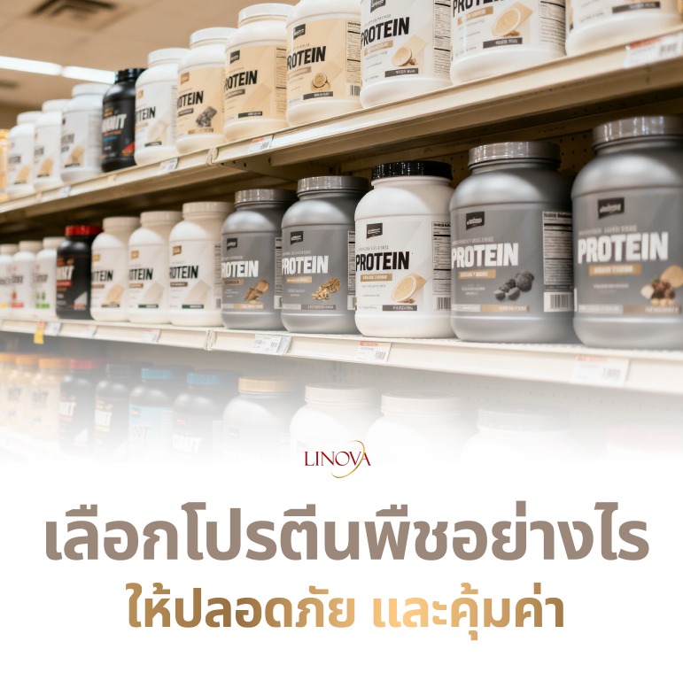 เลือกโปรตีนอย่างไร